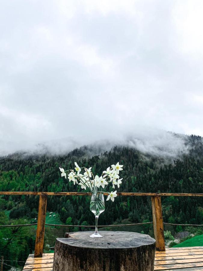 Mitarbi Silence - Cozy Holiday Cottages In Mountains Borjomi Exteriör bild