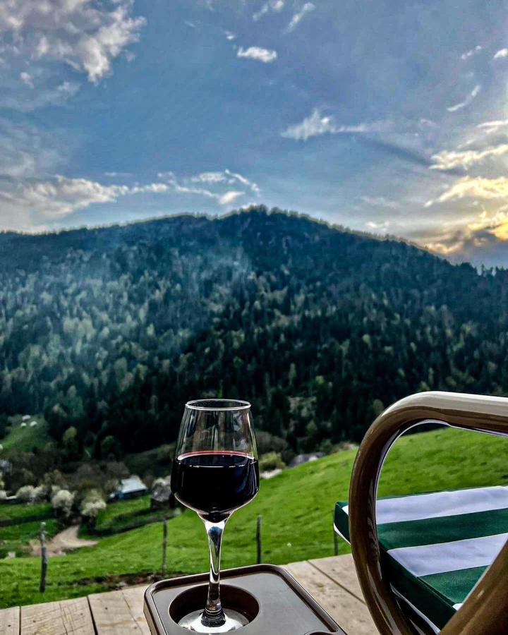Mitarbi Silence - Cozy Holiday Cottages In Mountains Borjomi Exteriör bild
