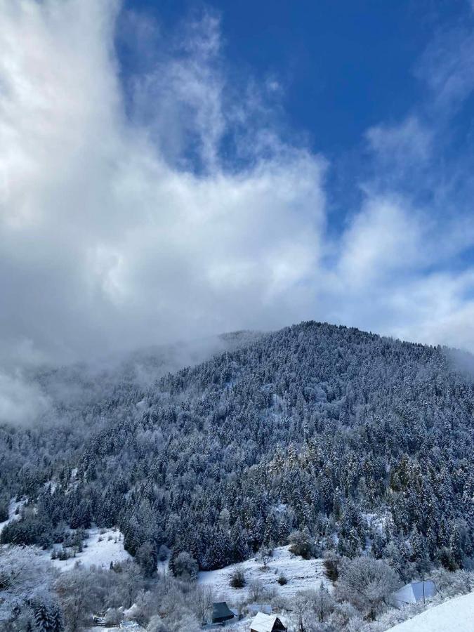 Mitarbi Silence - Cozy Holiday Cottages In Mountains Borjomi Exteriör bild