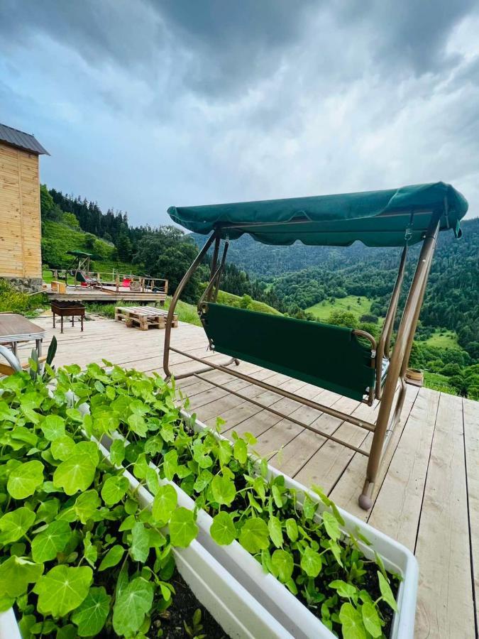 Mitarbi Silence - Cozy Holiday Cottages In Mountains Borjomi Exteriör bild