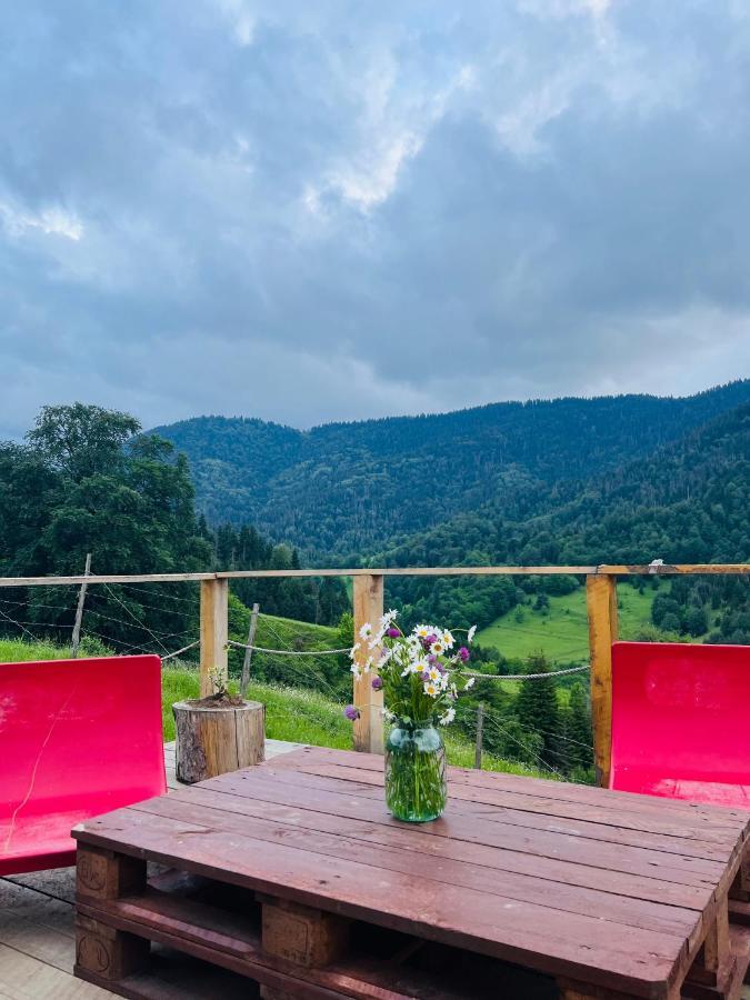 Mitarbi Silence - Cozy Holiday Cottages In Mountains Borjomi Exteriör bild