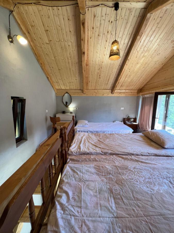 Mitarbi Silence - Cozy Holiday Cottages In Mountains Borjomi Exteriör bild