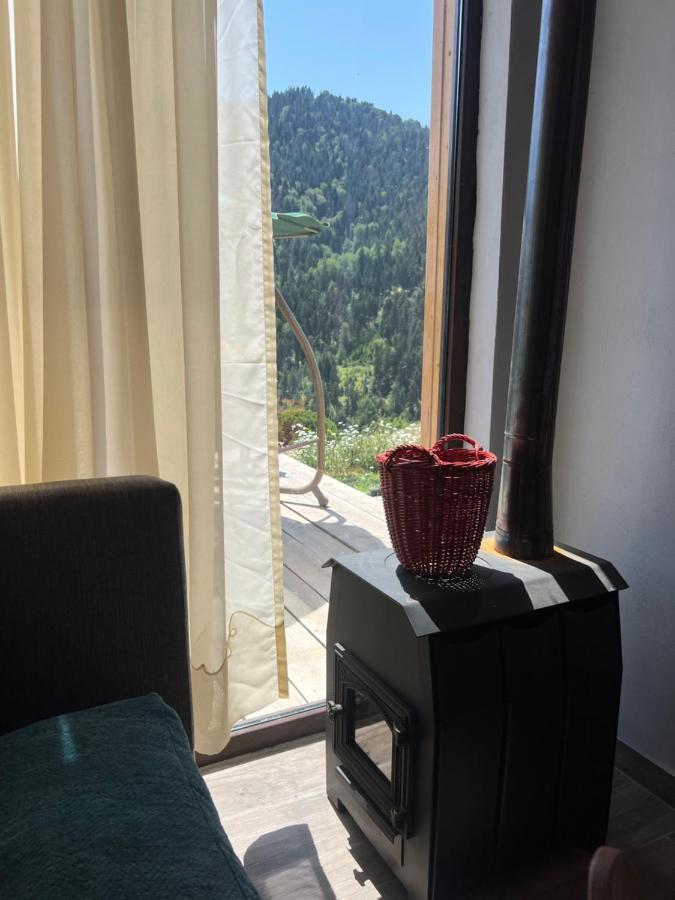 Mitarbi Silence - Cozy Holiday Cottages In Mountains Borjomi Exteriör bild