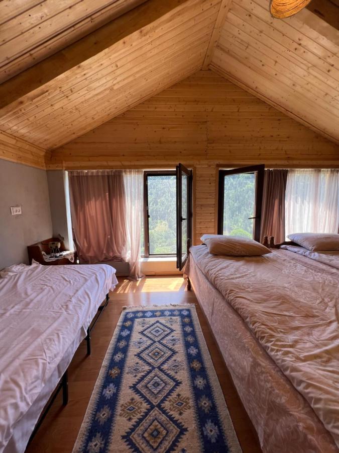 Mitarbi Silence - Cozy Holiday Cottages In Mountains Borjomi Exteriör bild