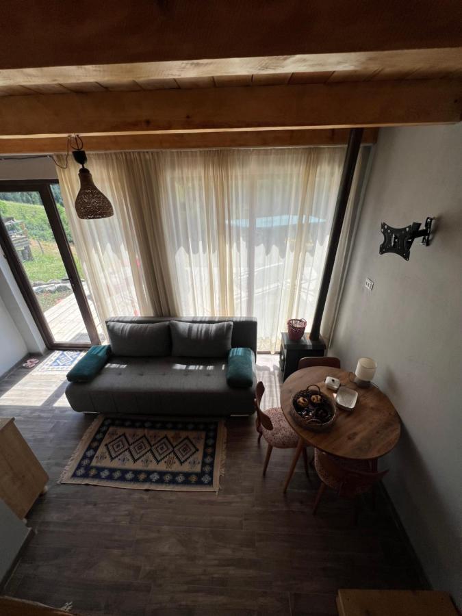 Mitarbi Silence - Cozy Holiday Cottages In Mountains Borjomi Exteriör bild