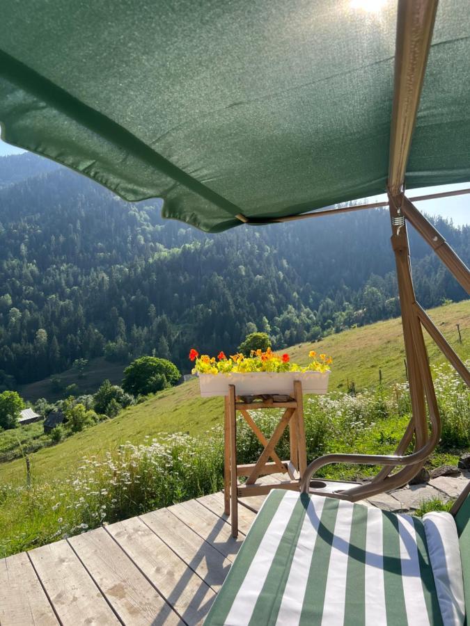 Mitarbi Silence - Cozy Holiday Cottages In Mountains Borjomi Exteriör bild