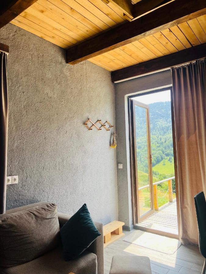 Mitarbi Silence - Cozy Holiday Cottages In Mountains Borjomi Exteriör bild