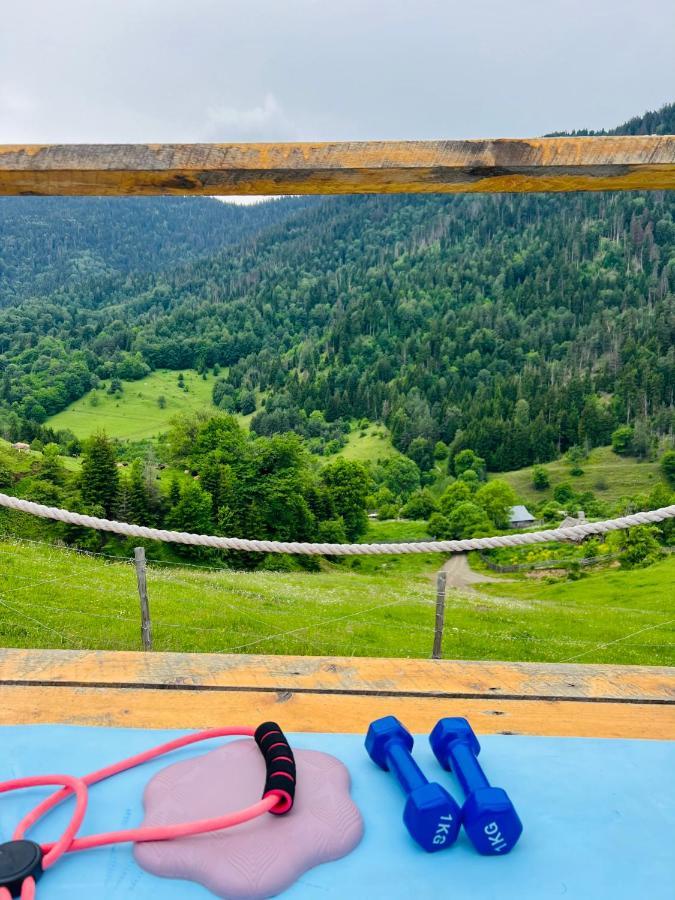 Mitarbi Silence - Cozy Holiday Cottages In Mountains Borjomi Exteriör bild