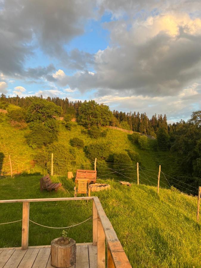 Mitarbi Silence - Cozy Holiday Cottages In Mountains Borjomi Exteriör bild