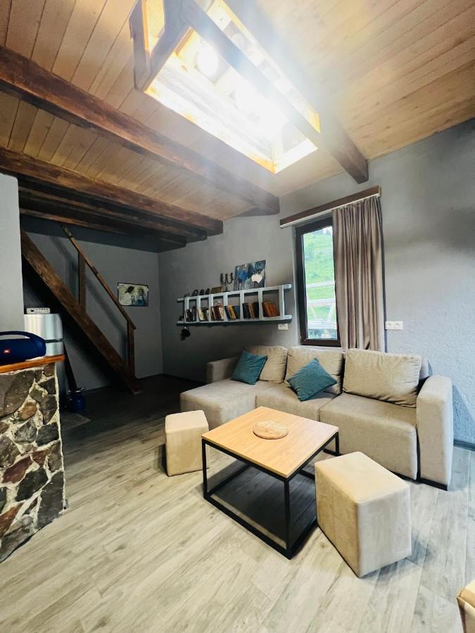 Mitarbi Silence - Cozy Holiday Cottages In Mountains Borjomi Exteriör bild