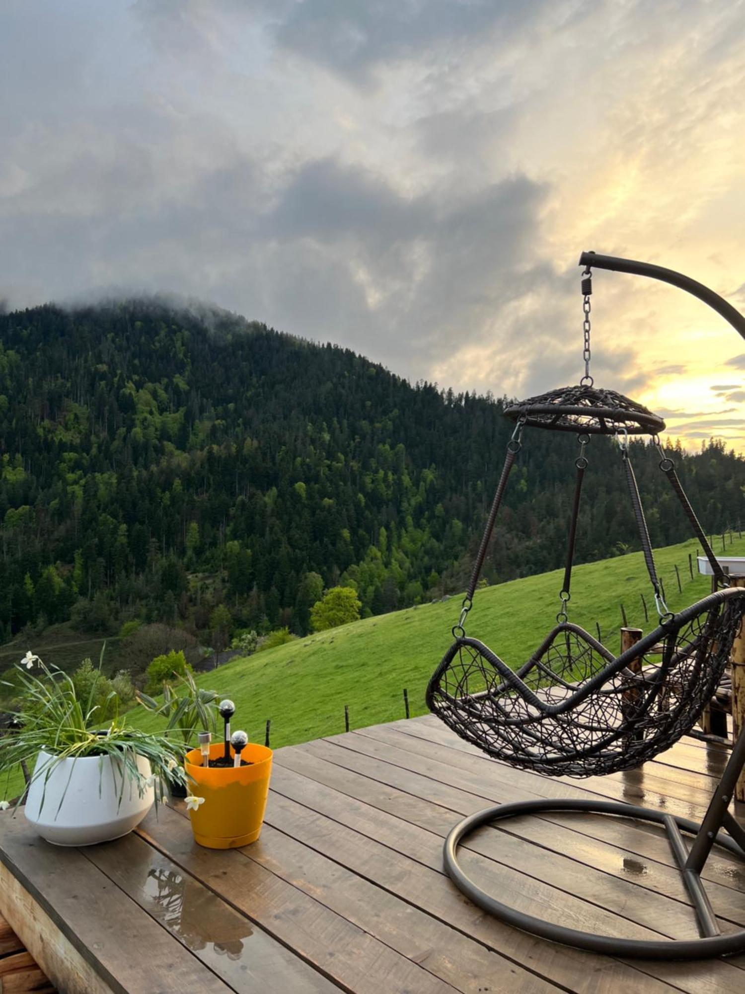 Mitarbi Silence - Cozy Holiday Cottages In Mountains Borjomi Exteriör bild
